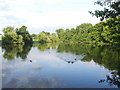 Pool by Brake Mill Farm, Stakenbridge