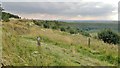 Above Horcum Wood, beside the A169