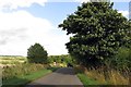 The road past Ashford Mill Cottages