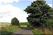SP3815 : The road past Ashford Mill Cottages by Steve Daniels