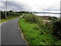 C3023 : Road at Dinnylinn, Inch Island by Kenneth  Allen