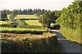 Mid Devon : Country Lane & Scenery