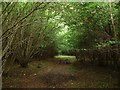 Footpath to Blakehurst Lane