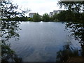 Leybourne Lakes Country Park