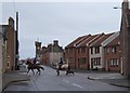 NT9261 : Horses crossing High Street by Barbara Carr