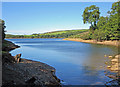 Eastern arm: Llys-y-fr?n reservoir