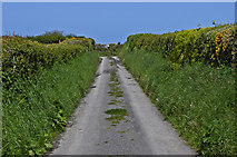 SN5982 : Track past Penglais Farm by Ian Capper