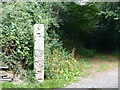 Wooden sculpture at Yeo Valley Woodland