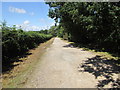 Track to Nutbourne Road