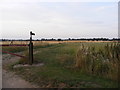 Footpath off Heywood Road