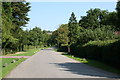 Reigate:  Coppice Lane