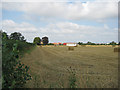 View to Norton Lodge Farm