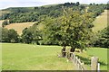 Fields at Trewyscoed