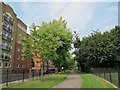 Tabard Gardens, north-west side