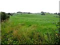 The rolling hills of County Tyrone