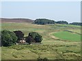 Pastures around Harwood Shield