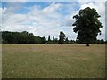 Temple: River Thames floodplain