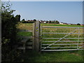 Stile for footpaths through a grazing field