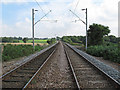TM1021 : Tendring Hundred Railway Line, Great Bentley by Roger Jones