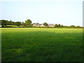 Field west of Ash Tree Farm