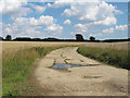 Farm track near Home Farm, Gosfield