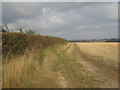 Farm track and harvested field