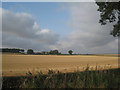 View towards Field House Farm