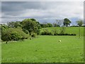 Pasture, Muckcroft