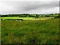 A glimmer of light, Rathwarren