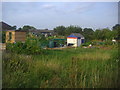 Allotments by Gladstone Park