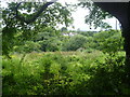 View from footpath leading away from Kingswood Road