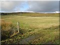 Pasture, Mullaghsandal Road