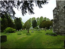 ST9917 : St Mary, Sixpenny Handley: churchyard (d) by Basher Eyre