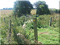 Footbridge over River Stort