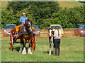 Shire Horses, Cuffley Steam and Heavy Horse Fair