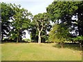 Trees near Upper Hammond