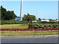 N7813 : Racehorse shrubbery at Curragh Chase roundabout by Darrin Antrobus