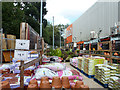 B&Q Crawley garden section