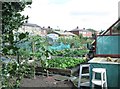 Allotments - Knowles Hill