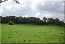TQ6261 : Farmland by Vigo Rd by N Chadwick