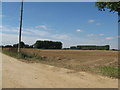 Recently ploughed field by footpath 101