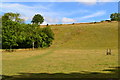 SU2030 : Footpath up steep valley side near Pitton by David Martin