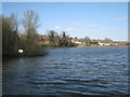 SP0466 : North shore of Lodge Pool. Lodge Park, Redditch by Robin Stott
