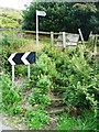 Steps and stile off Linfit Lane