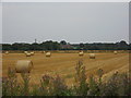 TF1405 : Freshly harvested field near Howe Farm, Glinton by Paul Bryan