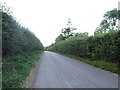 Back Lane, Chart Sutton