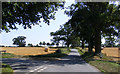 TM2893 : Church Road, Bedingham Green by Geographer