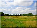 Derelict greyhound track