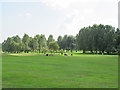 Golfers at Malkins Bank