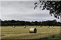 NJ2664 : Harvesting near Leuchars by Peter Moore